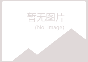 乐山埋没化学有限公司